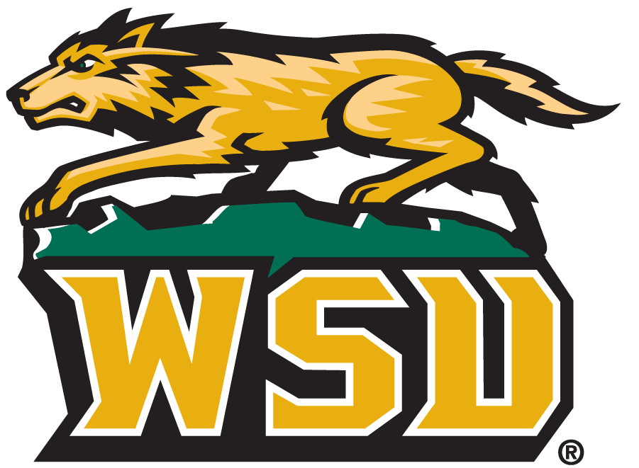 Wright State Raiders 1997-2013 Secondary Logo iron on transfers for T-shirts